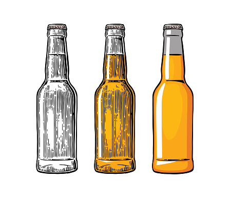 Beer bottle. Color engraving and flat vector illustration