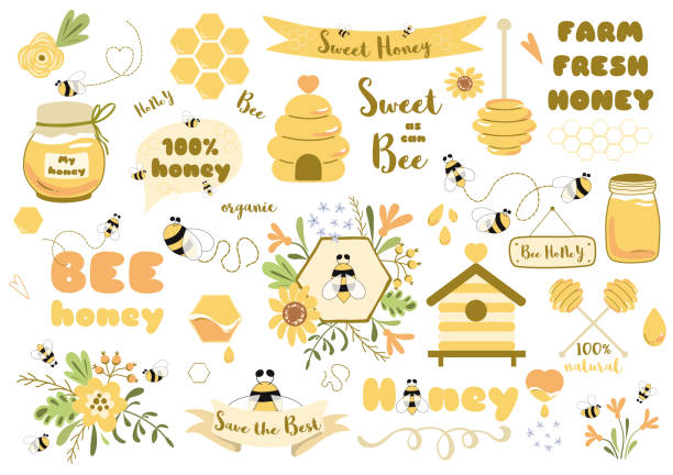 illustrazioni stock, clip art, cartoni animati e icone di tendenza di api set a nido d'ape clipart elementi ape disegnati a mano alveare nido d'ape vaso apicoltura illustrazione frasi di testo - miele