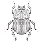 A beetle coloring design.