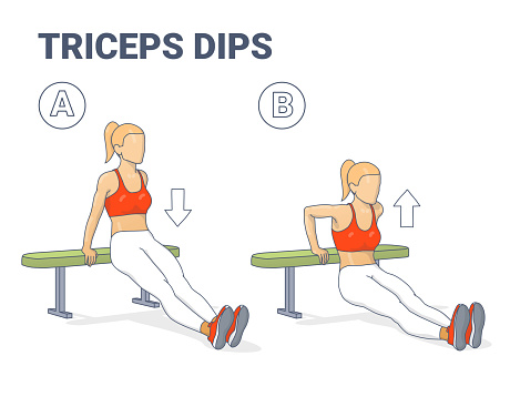Bench Triceps Dips Female Exercise Guide Colorful Illustration