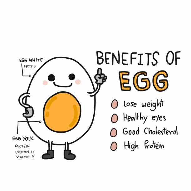 Benefits of egg