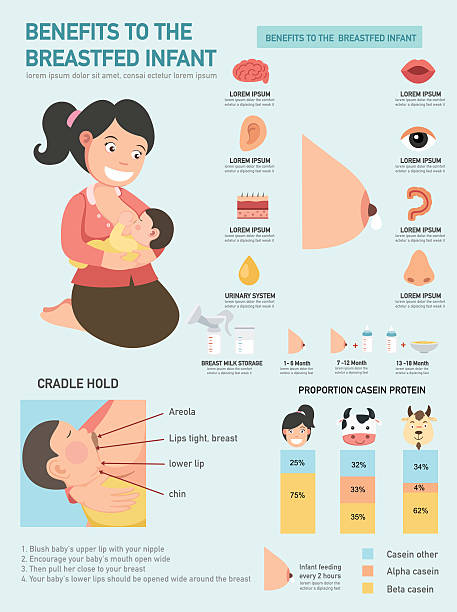illustrazioni stock, clip art, cartoni animati e icone di tendenza di vantaggi per il allattati al seno infographics. vector per neonati - allattamento