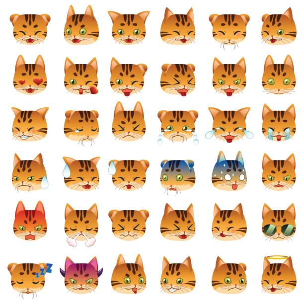bengal kot emoji emotikon wyrażenie emotikon - bengals stock illustrations