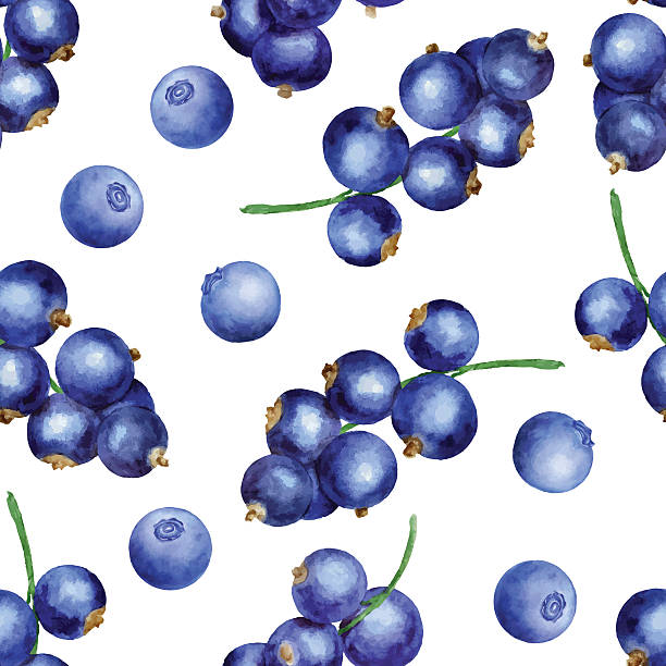 Berries seamless pattern Vector seamless pattern with blackberries and black currant blueberry illustrations stock illustrations