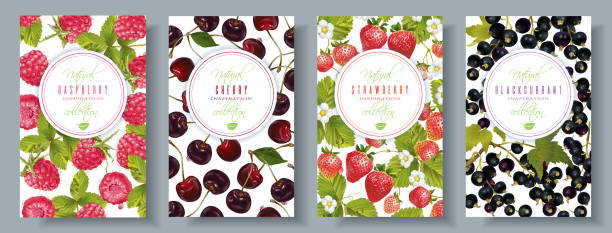 Berry banners set Vector berry vertical banners set. Raspberry, cherry, strawberry, black currant. Design for sweets and pastries filled with berry, candy, dessert menu, health care products. With place for text cherry stock illustrations