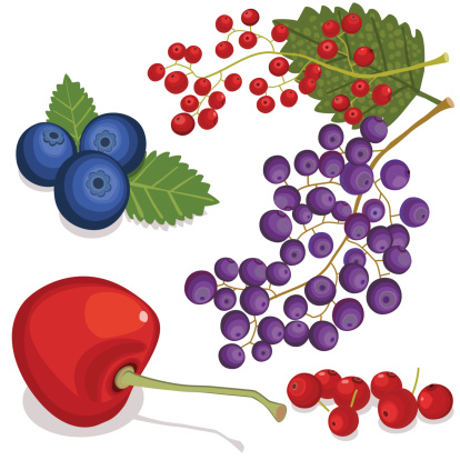 Berry clipart. 