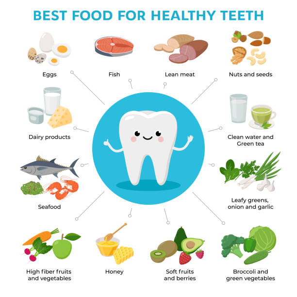 ilustrações de stock, clip art, desenhos animados e ícones de best food for helthy teeth and cute tooth cartoon character infographic elements with foods icons in flat design isolated on white background. - food infographics nutrition