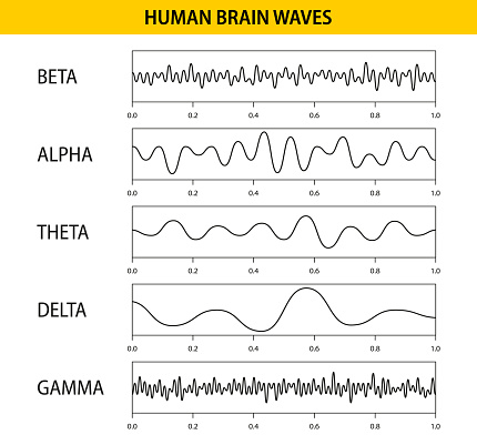 Beta, alpha, theta, delta, gamma brain waves. Set of brain waves oscillation. Human rhythm, types, amplitude of mind waves. Vector illustration