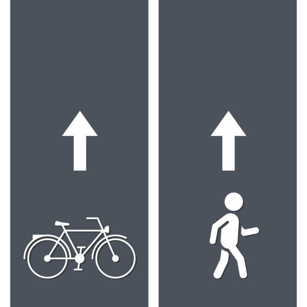 ilustrações de stock, clip art, desenhos animados e ícones de bicycle and pedestrian paths. walking path and bike path vector illustration - trilhos pedestres