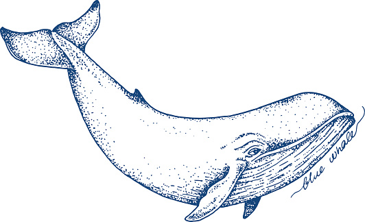 Big blue whale - vector hand drawn illustration