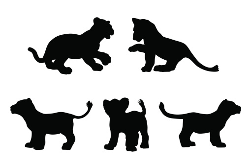 Big cat cubs in silhouette
