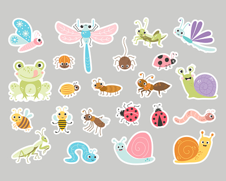 Big collection of stickers of cute insects. Funny decorative characters of snail, beetle, dragonfly and butterfly, bee and ant, spider and grasshopper. Vector illustration. isolated element