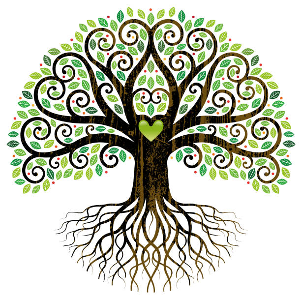 ilustraciones, imágenes clip art, dibujos animados e iconos de stock de gran árbol rizado en la ilustración de la hoja - family tree