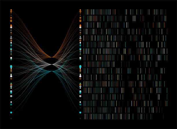 ilustrações de stock, clip art, desenhos animados e ícones de big genomic data visualization - teste de dna