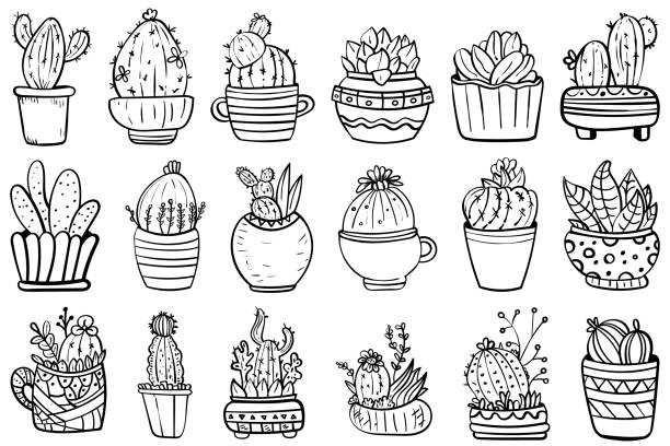 Big Set Of Cactus And Succulents. Vector collection with flowers, cacti, and succulents. - Vector. Big Houseplants. Coloring page or book. Set Of Potted Interior Flowers. Botanical illustration. Succulent plant. Scandinavian style, comfort in the house. Hygge. - Vector. Vector illustration coloring book pages templates stock illustrations