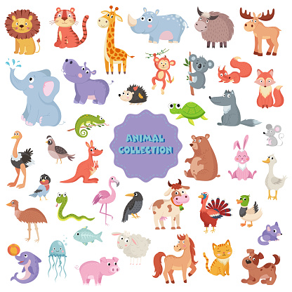 Big set of cute vector animals on white background