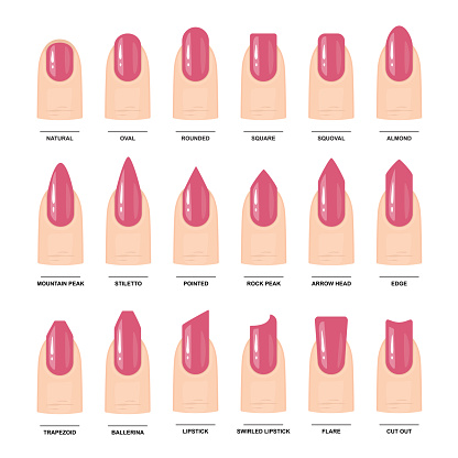 Big Set of Different nail shapes. Manicure Guide. Vector illustration
