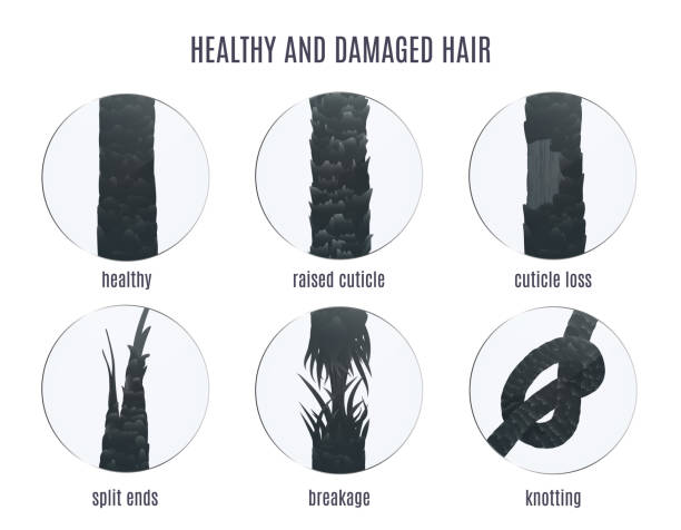 1,271 Human Hair Close Up Illustrations & Clip Art - iStock