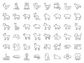 Big set of safari, arctic, forest, zoo animal and bird such as tiger, seal, camel, sloth, kangaroo, frog, pelican, parrot, toucan icon, thin line