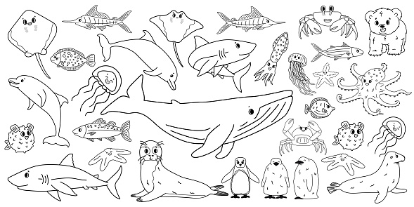 Big set vector cartoon outline isolated sea ocean north animals. Doodle whale, dolphin, shark, stingray, jellyfish, fish, crab, king Penguin chick, octopus, fur seal, polar bear cub for coloring book.