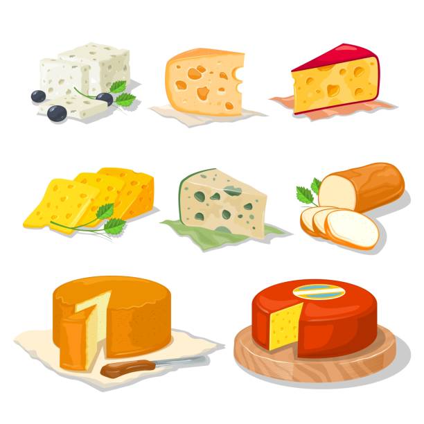 Big set with different types, assortment of cheeses. Vector cartoon realistic collection Big set with different types, assortment of cheeses hard, soft, with mold, spices, from milk of cow, sheep or goat, holed, smoked, brined, pickled. Vector cartoon realistic collection on white. cheddar cheese stock illustrations