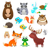 Big vector set forest animals in cartoon style, isolated on white background. Vector illustration design template