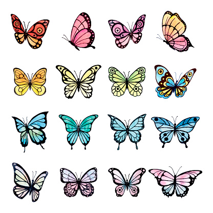 Big watercolor set of colorful butterfly
