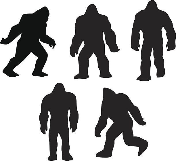 Bigfoot grouping Bigfoot silhouettes in various posses ligafoot stock illustrations