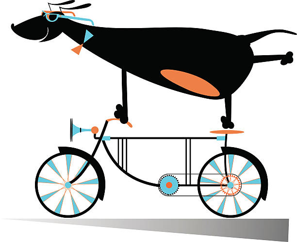 Bike vector art illustration