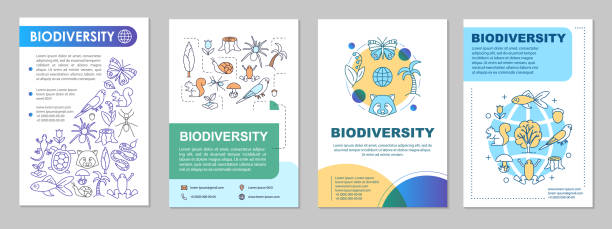 broschüre über die biologische vielfalt - biodiversität stock-grafiken, -clipart, -cartoons und -symbole