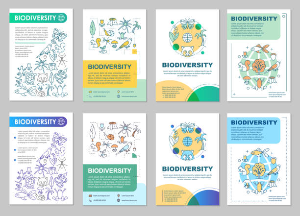 Biodiversity brochure Biodiversity brochure vector template layout. Flora and fauna. Animals and plants biodiversity stock illustrations