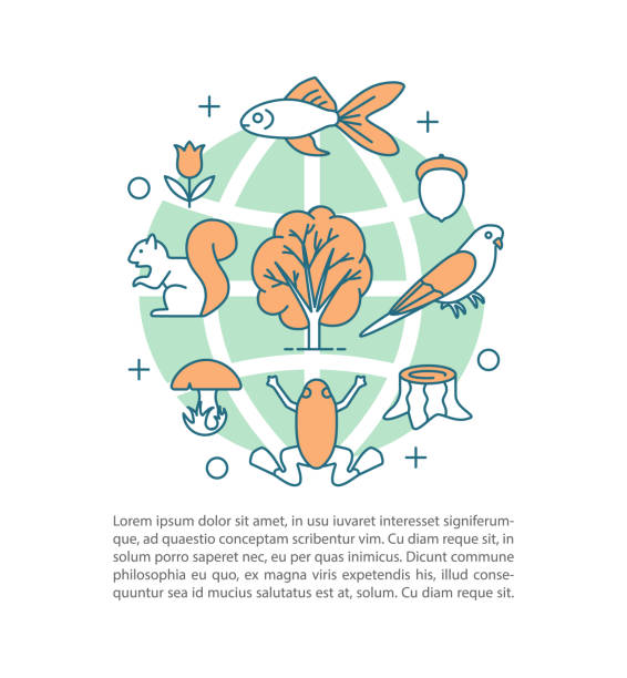 biodiversitätskonzept lineare illustration - biodiversität stock-grafiken, -clipart, -cartoons und -symbole