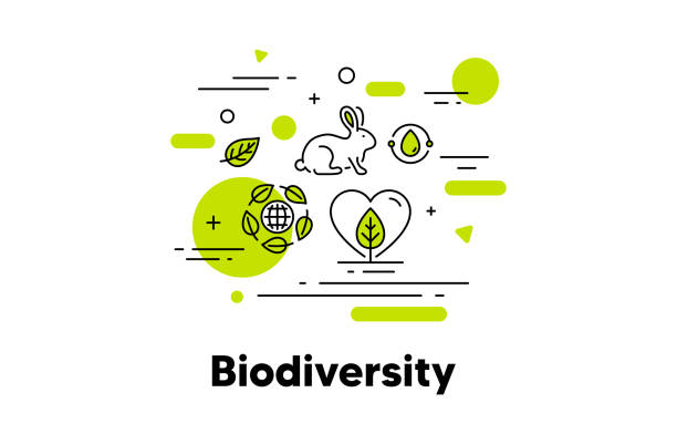 biodiversität linie symbol. speichern sie natürliche ökosystem-illustration. vektor - biodiversität stock-grafiken, -clipart, -cartoons und -symbole