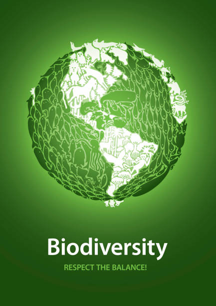 biodiversität: respektieren sie die balance! - biodiversität stock-grafiken, -clipart, -cartoons und -symbole
