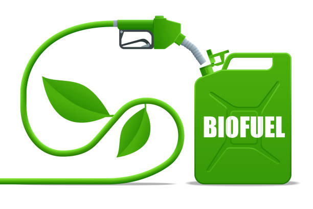 ilustrações, clipart, desenhos animados e ícones de barris de biocombustível com biocombustível. bocal de bomba de gasolina e jerrycan verde. energia verde. salve a terra, a ecologia, a energia alternativa. - co2 lavoura