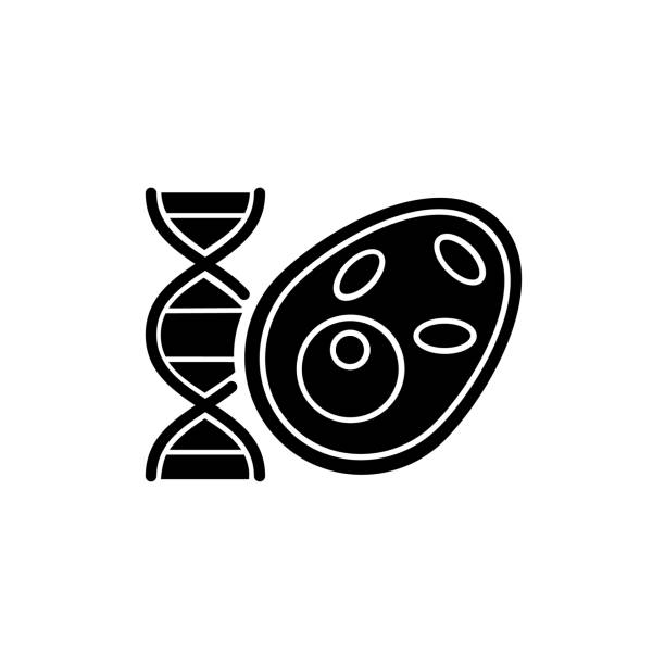 Biology black glyph icon Biology black glyph icon. Stydying of various life processes, organisms, environments. Cell with DNA structure. Biology classes. Silhouette symbol on white space. Vector isolated illustration dna silhouettes stock illustrations