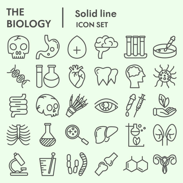 Biology line icon set, science and health symbols set collection or vector sketches. Human body signs set for computer web, the linear pictogram style package isolated on white background, eps 10. Biology line icon set, science and health symbols set collection or vector sketches. Human body signs set for computer web, the linear pictogram style package isolated on white background, eps 10 chemical illustrations stock illustrations