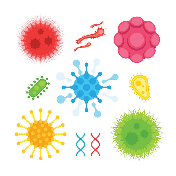 illustrazioni stock, clip art, cartoni animati e icone di tendenza di virus biologia microrganismi batteri - foggia