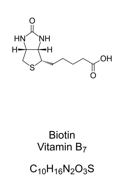 ilustraciones, imágenes clip art, dibujos animados e iconos de stock de biotina, vitamina b7, fórmula química y estructura esquelética - metabolismo de biotina