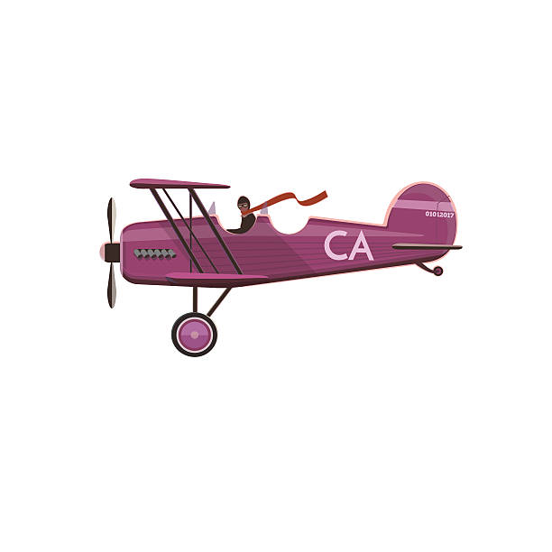 Biplane icon, cartoon, style Biplane icon, cartoon, flat style isolated on white private plane stock illustrations
