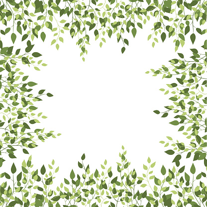 Birch green eco foliage spring square frame border