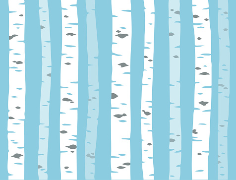 Birch tree pattern