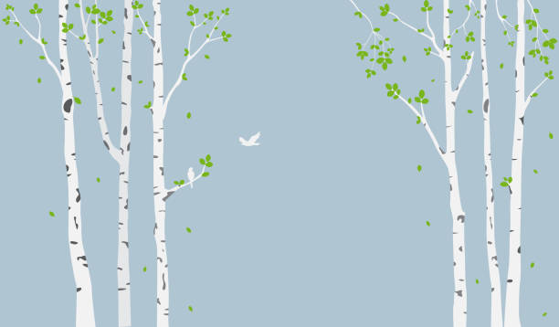 birke mit rehe und vögel silhouette hintergrund für tapeten aufkleber - birken stock-grafiken, -clipart, -cartoons und -symbole