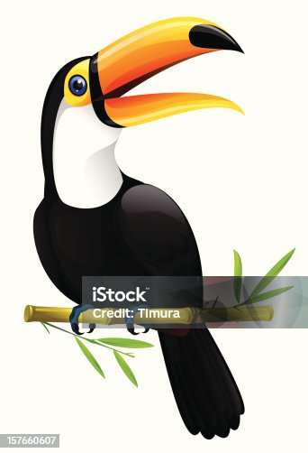 istock A bird called a toucan sitting in a twig 157660607