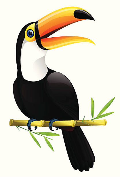A bird called a toucan sitting in a twig toucan sitting on a bamboo animal neck stock illustrations