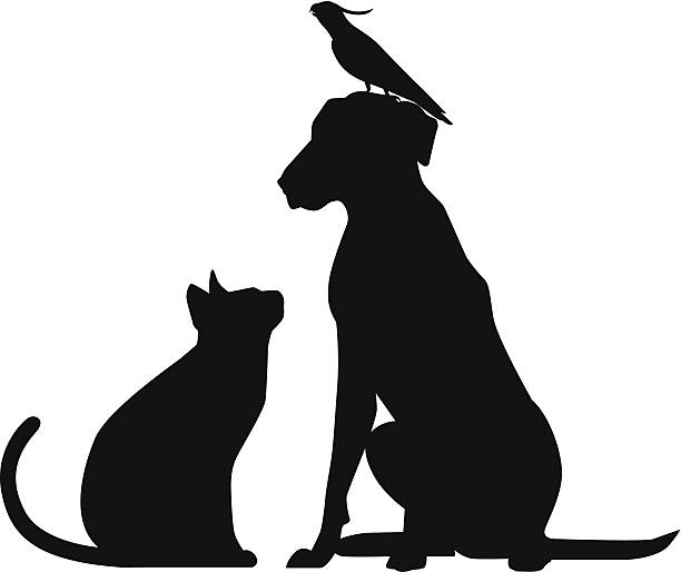 Bird Cat Dog Silhouette of a cat, dog, and cockatiel. Files included – jpg, ai (version 8 and CS3), svg, and eps (version 8) looking up stock illustrations
