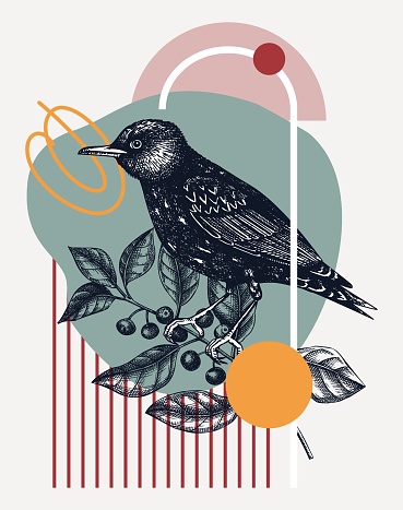 Bird design in collage style