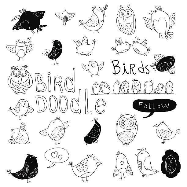 Bird doodle set. vector illustration. Bird doodle set. vector illustration. bird drawings stock illustrations