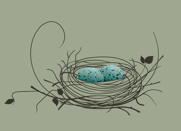 Bird eggs in the nest Spotted blue bird eggs in a nest on a green background bird's nest stock illustrations