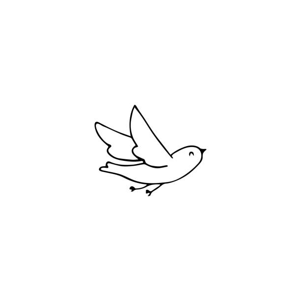 Bird  element Vector hand drawn objects, dove bird. Feminine  element, romantic wedding clipart. For business branding and identity. Black on white isolated symbol. bird stock illustrations